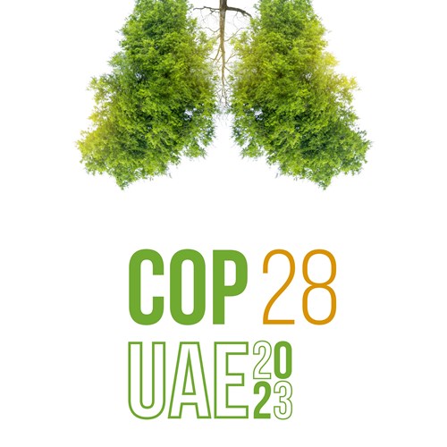 COP28 COP28