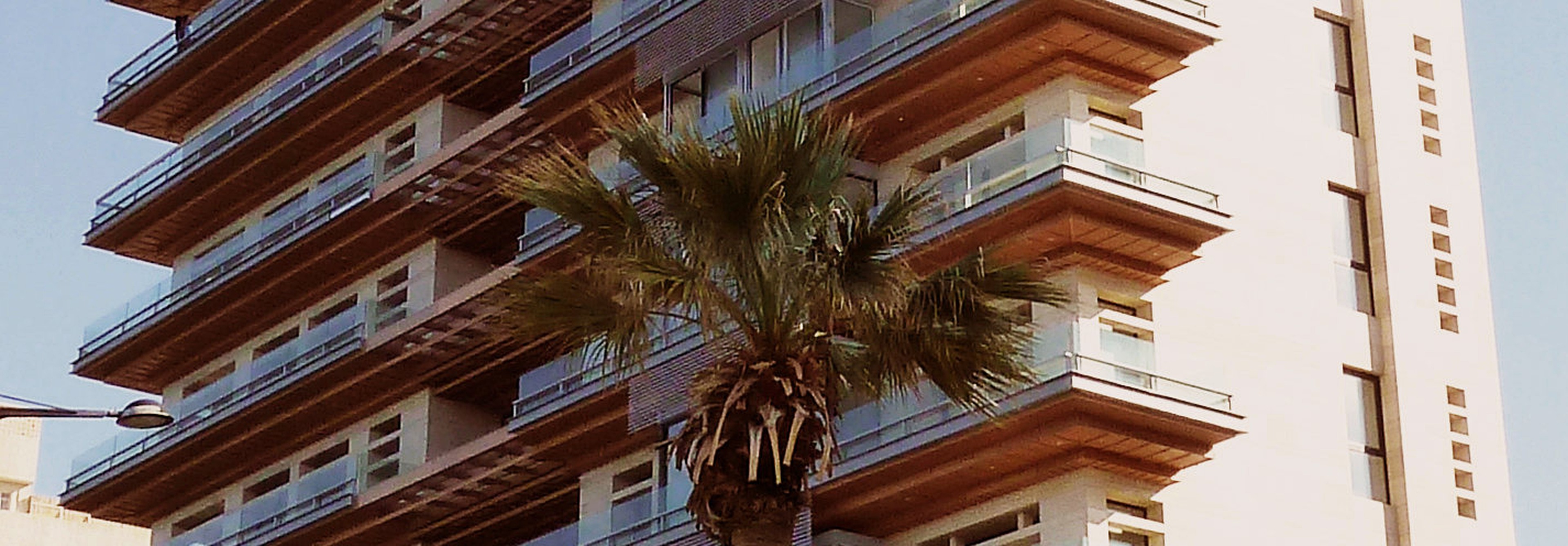 Hochar Tower