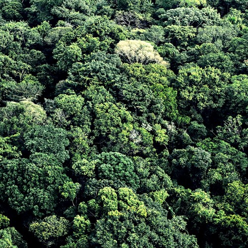O NOSSO COMPROMISSO, A SUSTENTABILIDADE O NOSSO COMPROMISSO, A SUSTENTABILIDADE