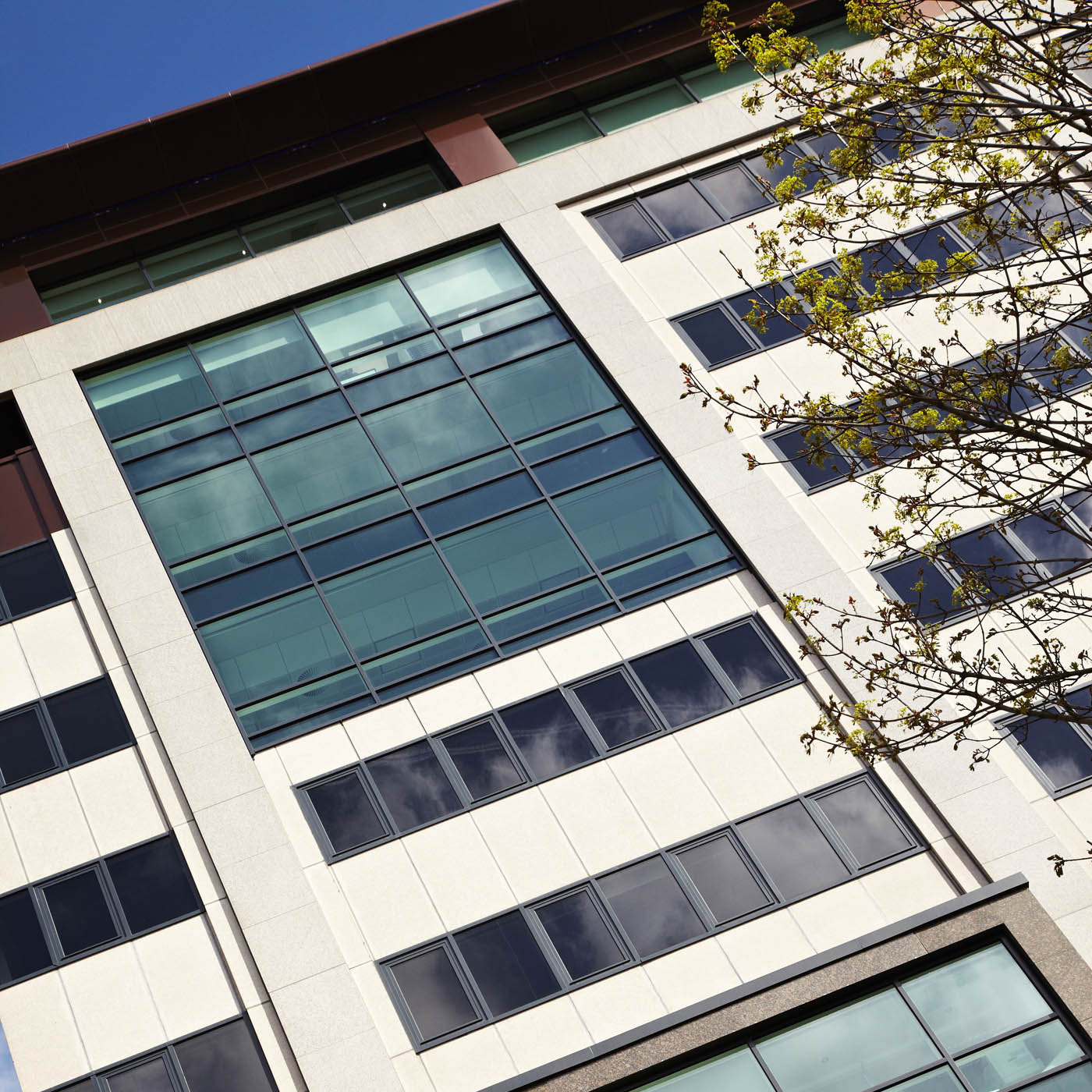 aluminium curtain walling for offices